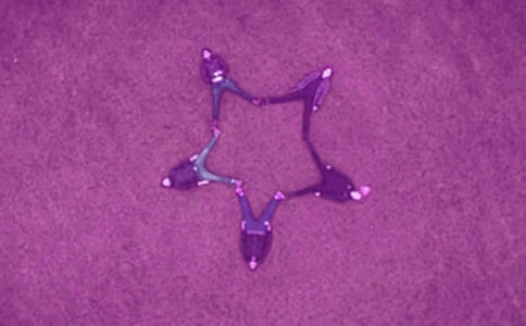 ʮһ�µĺ���ף����