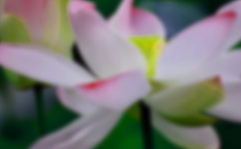 �����ɻ�������