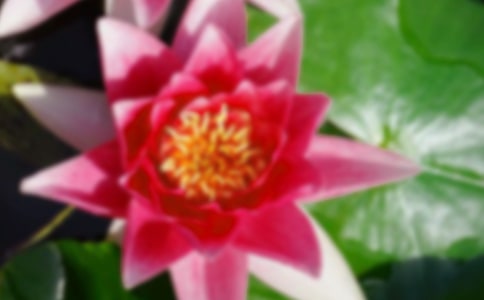 �ɻ��������