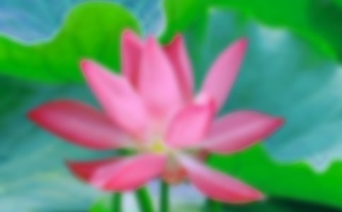 �����ɻ������ԼѾ�5ƪ��ͨ�ã�