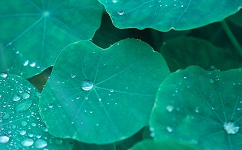 ����Ҷ��ĸ�ס������