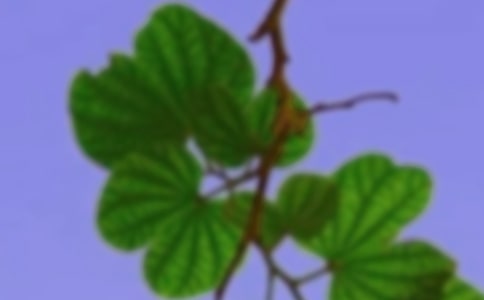 ���ں�г������