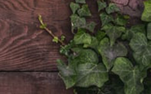 �й��Ž��г�ĵ�