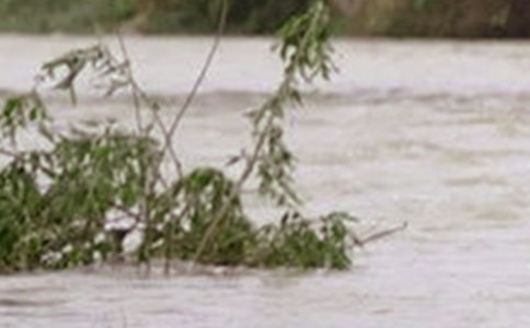 ��ˮ���ֲ���������