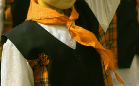 �������ѧϰ�ۺ��