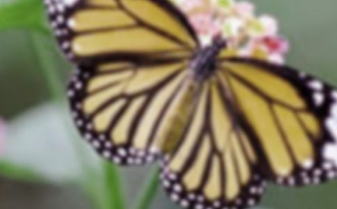 �����������������ġ������