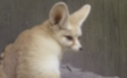 ���˲���ĺ���ְ֡��ĵ����9ƪ