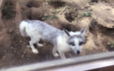 �����˲���ĺ���ְ֡��и�