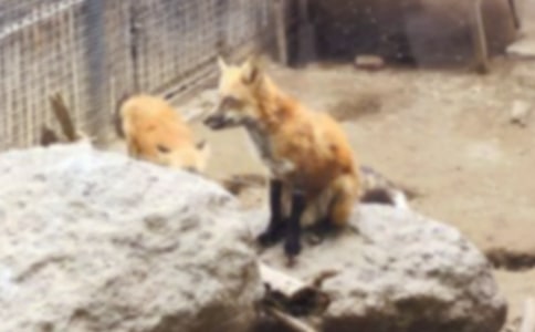 ���Ƽ������˲���ĺ���ְ֡������15ƪ