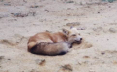 �������ǵĹ��¶����