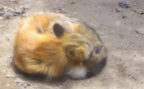 ���˲���ĺ���ְ֡�����з���