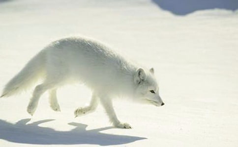 [��ѡ]���˲���ĺ���ְ֡������