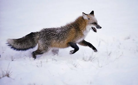 ���˲���ĺ���ְ֡�����Ķ����