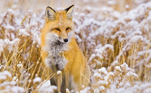 ���ٱ�����ƭһ�Ρ�����кϼ�[15ƪ]