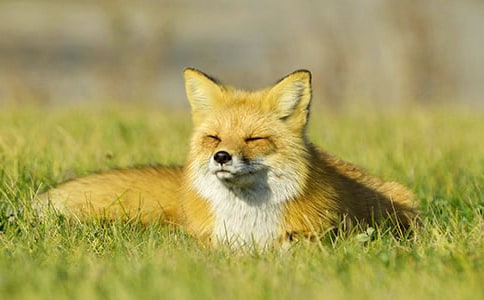 ���˲���ĺ���ְ֡������