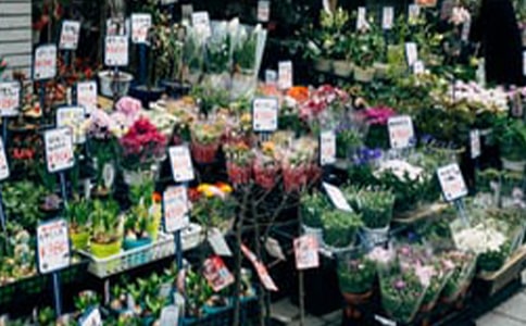 ������Ŀ��ҵ�ƻ���