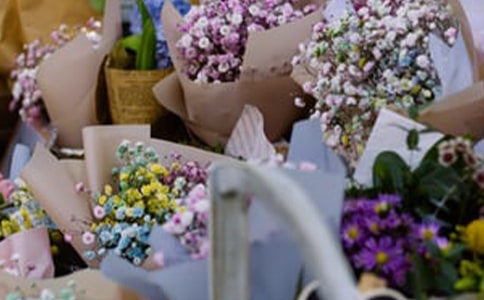 ����Ĵ�ҵ�ƻ���