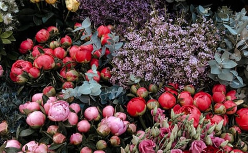 ���괴ҵ�ƻ���(����15ƪ)