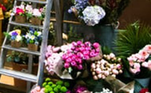 ����Ʒ�����괴ҵ�ƻ���15ƪ