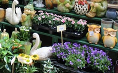 ���괴ҵ�ƻ���15ƪ