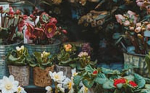 ���괴ҵ�ƻ��飨����15ƪ��