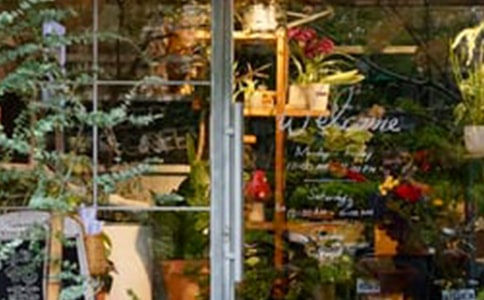 ���괴ҵ�ƻ��鼯��(15ƪ)