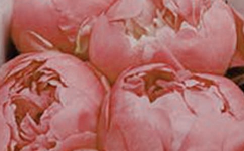 ���ȡ����ڻ��������