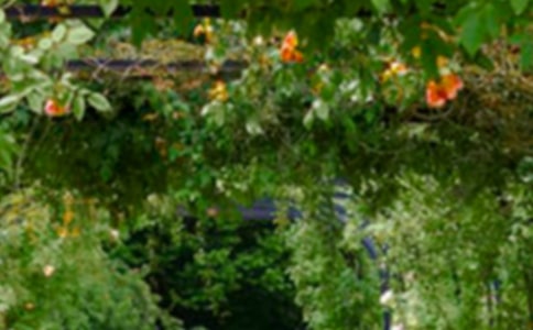 �����˵Ļ�԰����ѧ�ĵ�