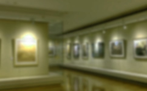 �黭չ�߻���