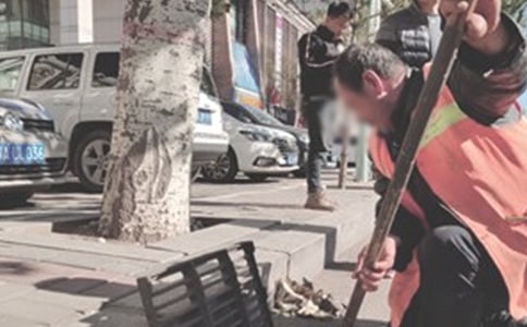 ���������ݽ��巶��