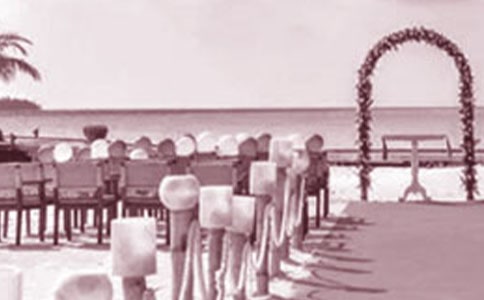 ����ף���ʼ�̴��� ���ý��ף���﷢˵˵