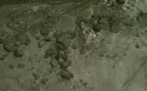 ����������վʵϰ����