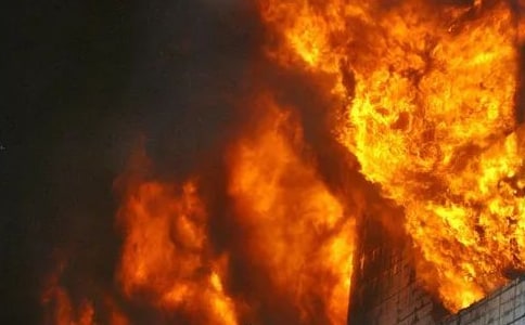 �������ĵ����