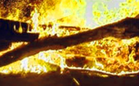 �����ֵ��ĵ����