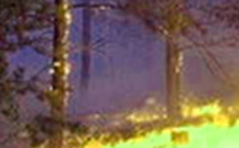 �����¹��ĵ���᡾��ѡ��