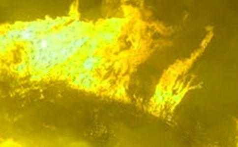 Ԥ�����ֵ��ĵ����