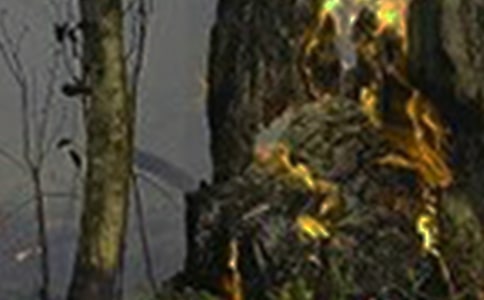 Ԥ�������ĵ����11ƪ