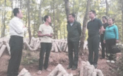 Υ��У�ͼ�����