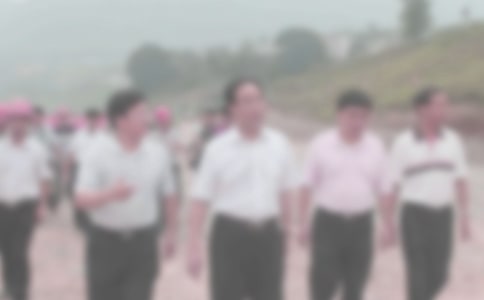 �ͼ첿�˲�������