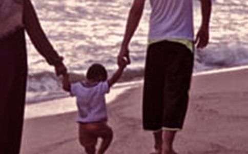 ��ͥ�����ĵ����