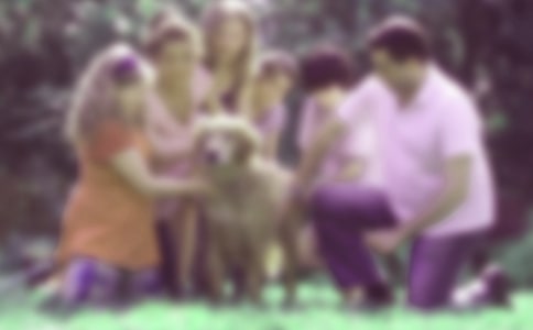 ��ͥ�������������ĵ����