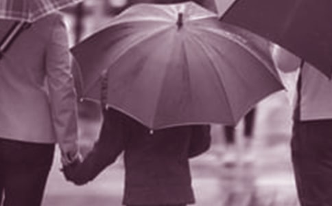 �ҳ���ͥ���������ĵ����