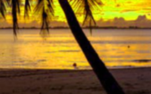 ���ټ����ĵ�