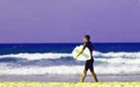 ���ڴ��ĵ����