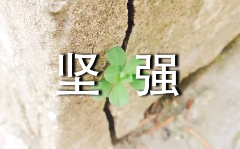 ��ǿ��־��¼