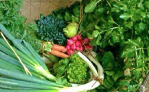 ���񽡿����������ƻ�11ƪ