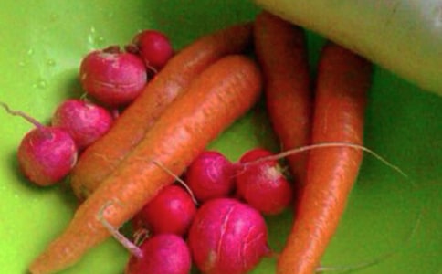 ���񽡿����������ƻ�10ƪ