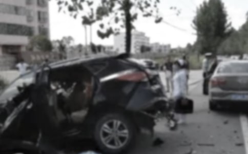 ����˫����ͨ�¹��½�Э���鷶��