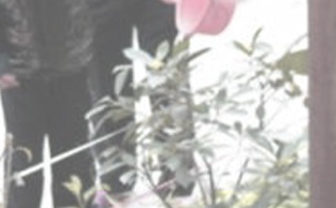 �����ĵ���ᣨ��ѡ11ƪ��