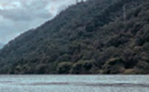 ���ھ�ɫ������(����)